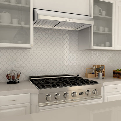 ZLINE Stainless Steel Ducted Under Cabinet Range Hood
