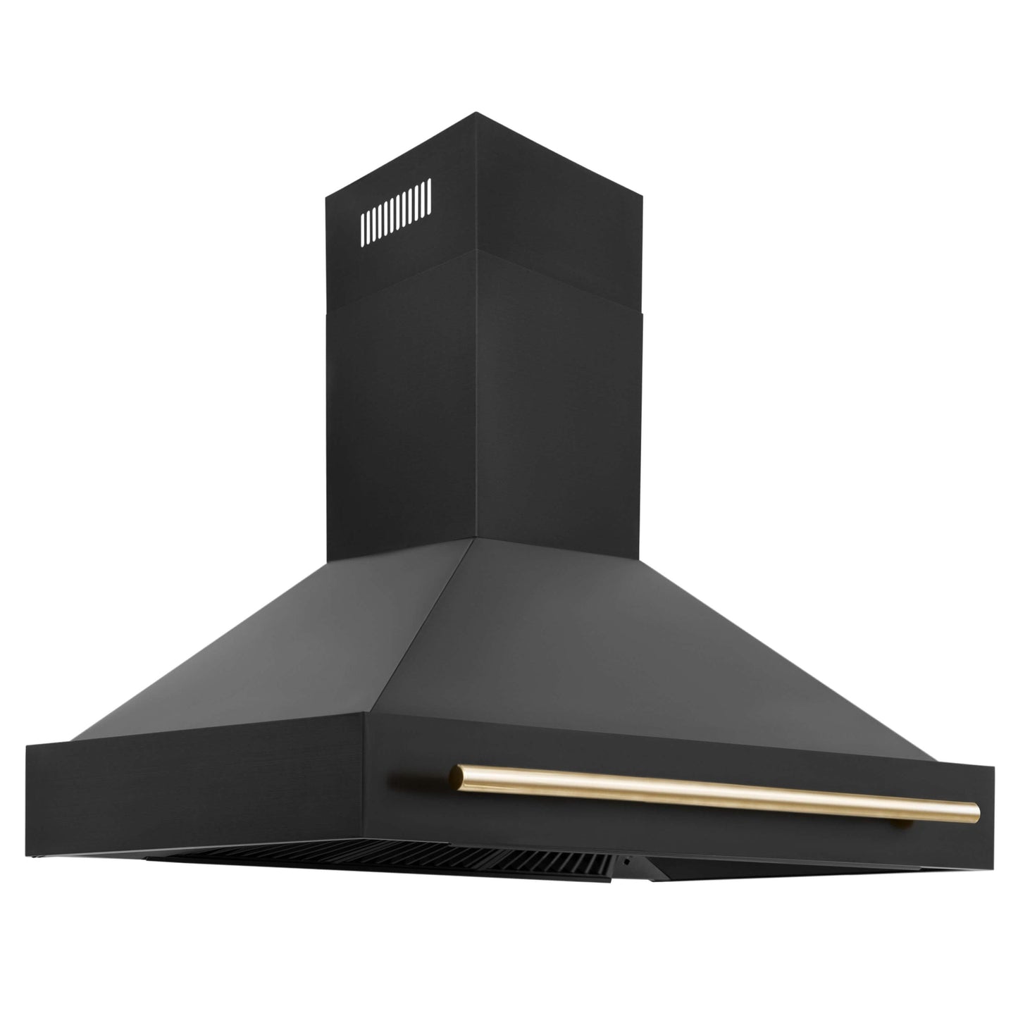 ZLINE 3-Appliance 48" Autograph Edition Kitchen Package with Black Stainless Steel Dual Fuel Range, Range Hood, and Dishwasher with Polished Gold Accents