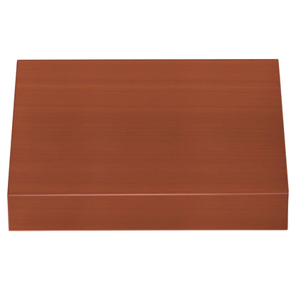 ZLINE Designer Series Under Cabinet Range Hood