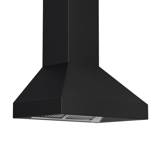 ZLINE Designer Series Wall Mount Range Hood - Black Stainless