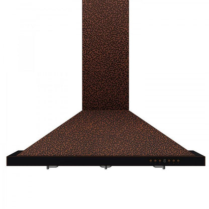 ZLINE Designer Series Wall Mount Range Hood